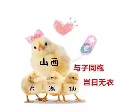 大同gdp_冶炼之都晋城的2019年GDP出炉,在山西省内排名第几？(2)