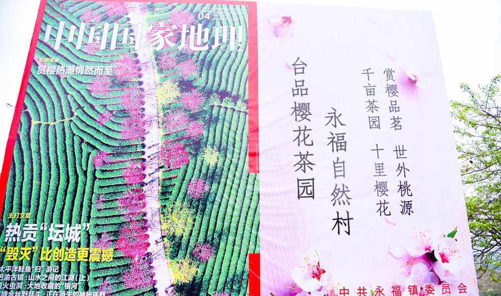 漳平gdp_2020上半年龙岩各县GDP排名:新罗总量第一,永定增速最快