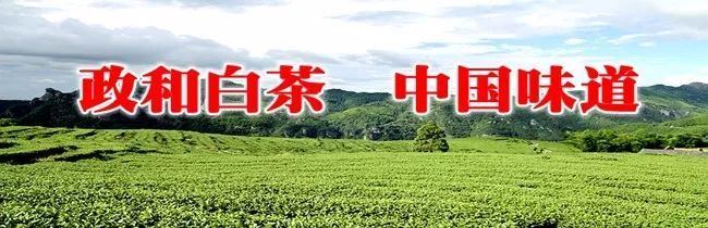 政和gdp_福建相距仅20公里的县,人均GDP破5万,若“一体化”能否“设市”